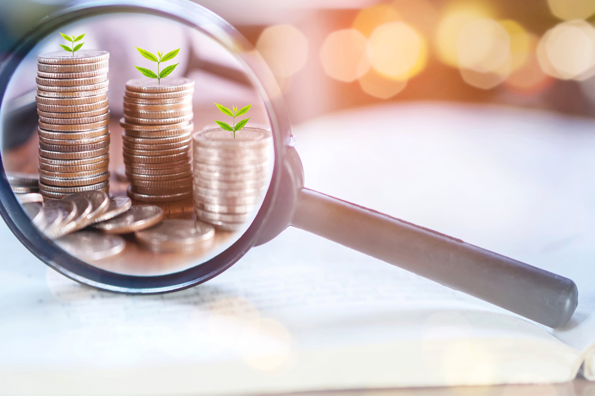 Conseguir financiamiento para una empresa dominicana.